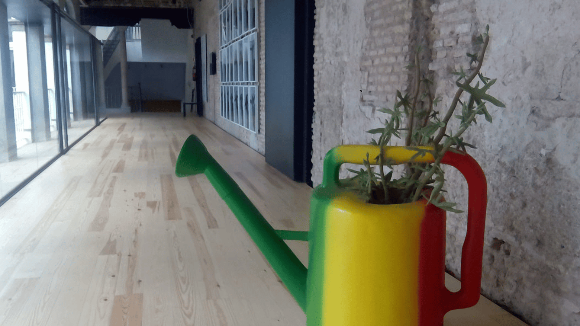 Reggaera, Federico Guzmán “Lo Audio visual”, 2016. CICUS. EXPRESSAN